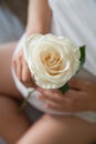 Closeup of beautiful white rose in hands of young sitting woman. Girl with flower Royalty Free Stock Photo