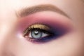 Closeup of beautiful woman eye with fashion makeup Royalty Free Stock Photo