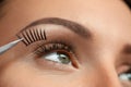 Closeup Of Beautiful Woman Eye With Long Black False Eyelashes Royalty Free Stock Photo