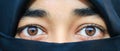 Closeup of beautiful woman face covered with hijab. Perfect shiny eyes of a Muslim girl. Young niqab girl portrait. Royalty Free Stock Photo