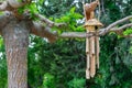 Closeup of a beautiful wooden birdhouse with woodwinds on a tree in a park