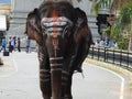 Closeup of beautifully decorated real Elephant at famous Shiva Temple Male Mahadeshwara Hill