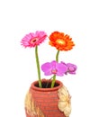 Closeup on beauty bloom vase Royalty Free Stock Photo