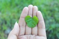 Closeup beauty love leaf on the hand