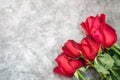 Closeup of beauty red rose flower bouquet on white concrete background with copy space. Using as flora nature and love, Valentine Royalty Free Stock Photo