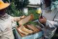 Closeup of beekeeper holding a honeycomb. Beekeeper in protective workwear inspecting honeycomb frame at apiary. Beekeeping