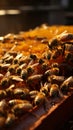 Closeup beekeeper with honeycomb frame, bees crafting liquid gold, a symbiotic dance