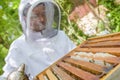 Closeup beekeeper working on hive