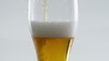 Closeup beer pouring glass making tasty dense foam at white background. Royalty Free Stock Photo
