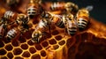 Closeup of bees on honeycomb in apiary - selective focus, Generative AI