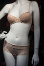 beige underwear on mannequin in fashion store showroom for women