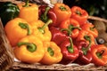 Closeup of Bell Peppers in a basket at Market