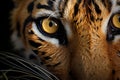 Closeup of bengal tiger yellow eye. Generative AI
