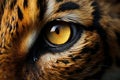 Closeup of bengal tiger yellow eye. Generative AI