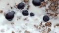 Closeup berries filling granola. Organic blueberries floating calcium yoghurt