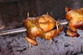 Closeup best grilled chicken,street food,barbecue concept