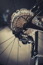 Closeup of a bicycle gears mechanism and chain on the rear wheel of mountain bike. Rear wheel cassette from a mountain bike. Close Royalty Free Stock Photo