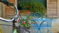 Closeup Bicycle Rudder with Basket full of flowers and Blur Background