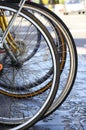 Bicycle wheels, detail