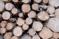 Closeup of big cut tree trunks and logs Royalty Free Stock Photo