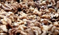 Closeup of big shelled walnuts Akhrot pile sold in market Royalty Free Stock Photo