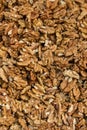 Closeup of big shelled walnuts pile. Selective focus Royalty Free Stock Photo