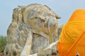 Closeup big statue buddha Royalty Free Stock Photo