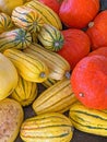 closeup bin of Delicata and Spaghetti squash harvested in Fall as Winter squashes