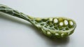 Closeup of a biodegradable disposable utensil made entirely from algae. The intricate design is not only aesthetically