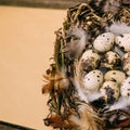 Closeup bird nest with quail eggs and feather beside sheet of paper for text Royalty Free Stock Photo
