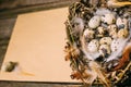 Closeup bird nest with quail eggs and feather beside sheet of paper for text on wood Royalty Free Stock Photo