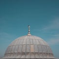 Closeup of a bird perched on top of Suleymaniye Mosque against a blue sky in Istanbul, Turkey Royalty Free Stock Photo