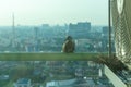 Closeup birds in a nest on the steel cage of air conditioner at the terrace of high condominium with blurred cityscape background