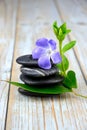 Closeup of black balancing rocks with a purple flower on a wooden surface Royalty Free Stock Photo