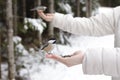 Black-capped Chickadee Resting On A Girl's Hand, Closeup