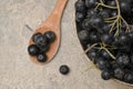 Closeup Black Chokeberry Berries Aronia