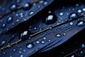 closeup of black feathers background. bird feather on a dark background