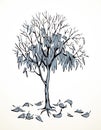 Vector drawing. Withered tree with fallen leaves Royalty Free Stock Photo