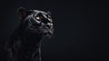 Closeup of a black panthers head on black background created with Generative AI