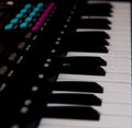 Closeup black piano keys, black piano isolated, side view of an instrument. learning to play at home. black grand digital piano. p Royalty Free Stock Photo
