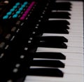 Closeup black piano keys, black piano isolated, side view of an instrument. learning to play at home. black grand digital piano. p