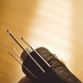 Closeup black spool of thread with different needles on the brown sunny table Royalty Free Stock Photo