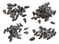 Closeup of black sunflower seeds isolated on white background. Pile of sunflower seeds. Royalty Free Stock Photo