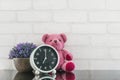 Closeup black and white alarm clock for decorate in 7 o`clock with bear doll and plant on black glass table and white brick wall Royalty Free Stock Photo