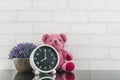 Closeup black and white alarm clock for decorate in 8 o`clock with bear doll and plant on black glass table and white brick wall Royalty Free Stock Photo