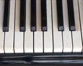 Black and white keys on old ivory keyboard of grand piano Royalty Free Stock Photo