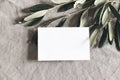 Closeup of blank greeting, business card and green olive leaves, branches on linen tablecloth background. Moody feminine