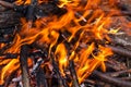 Closeup of blazing campfire, Campfire burning logs in large orange and yellow flames in close up of the wood aflame. Close up of a