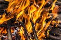 Closeup of blazing campfire, Campfire burning logs in large orange and yellow flames in close up of the wood aflame. Close up of a