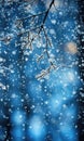 Closeup blend of rain and snow on deep blue backdrop.Branch of tree freezen and snowy Royalty Free Stock Photo